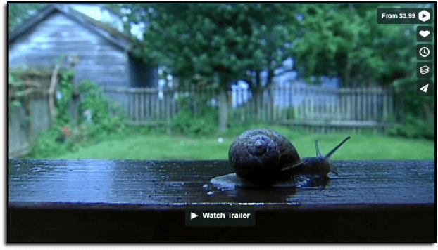 image of snail crawling